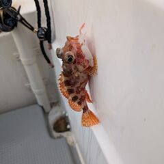 投稿です　男性です。
