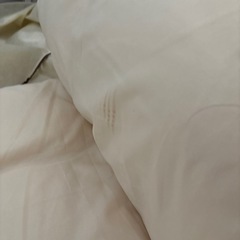 【取りに来てくださる方に】アイリスプラザ 布団セット の画像