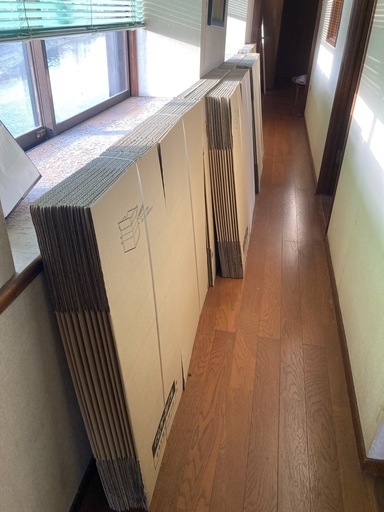 ダンボールワンの新品ダンボール160