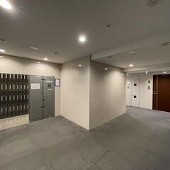 ⭐️敷・礼・仲0円⭐️亀戸駅⭐️バス・トイレ別、シャワー、洗面所独立、温水洗浄暖房便座、室内洗濯機置場 - 賃貸（マンション/一戸建て）