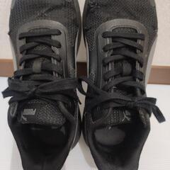 シューズ③(プーマ)の画像