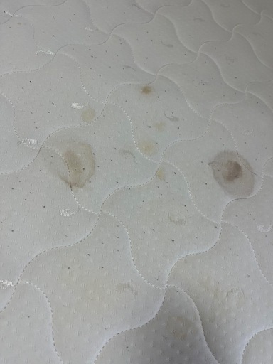 買って2年弱ダブルベット
