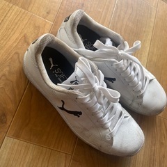 女のpumaの靴の画像