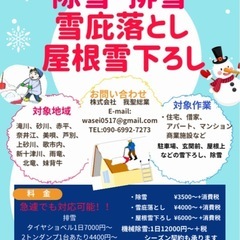 屋根の雪おろし、除雪、雪庇落とし、排雪！！！