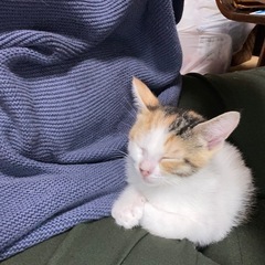 おうちのお困りごと☆