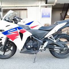 CBR250R　MC41　の画像