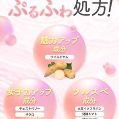 FUWAP フワップ 美容 ボディケア サプリメント　30粒の画像