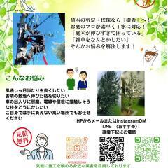 一本から喜んで　お庭管理　お困りごと　伐採　剪定　ご相談ください...