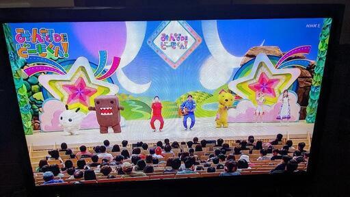 19インチ　DVDプレイヤー内蔵地デジテレビ