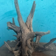 流木