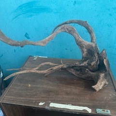 流木