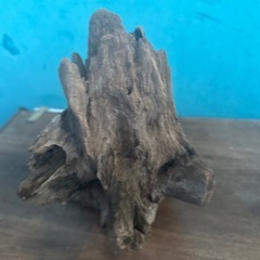 流木