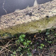 まだ在庫あります！貴重なサイズの大きな鹿沼産の深岩石の画像