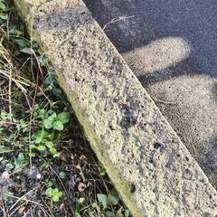 まだ在庫あります！貴重なサイズの大きな鹿沼産の深岩石の画像