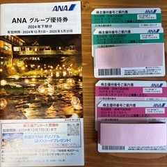 ANA 株主割引券 ■枚数:4枚