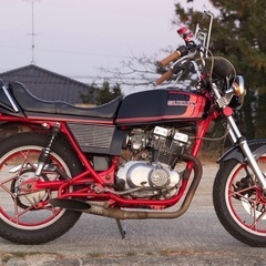 gsx250eザリの画像