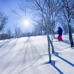 パウダー大好きスキー&スノボメンバー募集🏂⛷