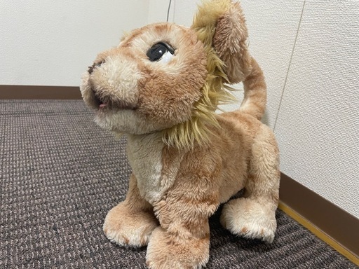 ライオン