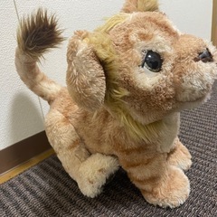 ライオンの画像