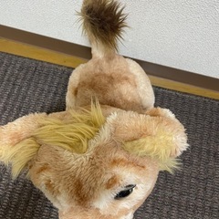 ライオンの画像