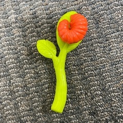 ライオンの画像