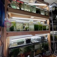 水槽什器 