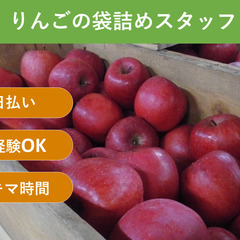 ＼日払い・1日OK！／もくもく作業！りんごのツル切り・袋詰め作業