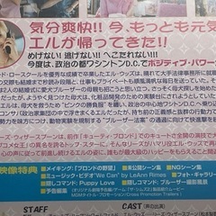 新品未開封DVD キューティー•ブロンド２　ハッピーMAX特別編の画像
