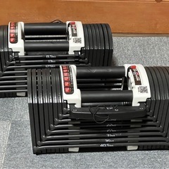 可変式ダンベル40kg2個セット＋トレーニングベンチ　セット売りの画像