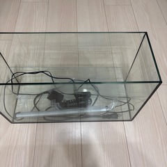 水槽の画像