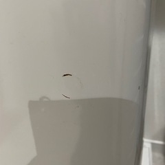 家電 生活家電 洗濯機の画像