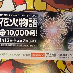 グリーンランド 花火 チケット (🐰) 三ツ石のテーマパーク/遊園地の中古あげます・譲ります｜ジモティーで不用品の処分