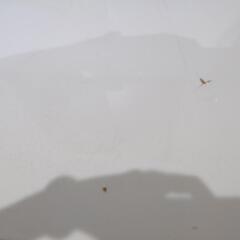 （引き取り者決定）取りに来れる方ニトリキッチンカウンターの画像