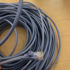 LANケーブル 30Mの画像