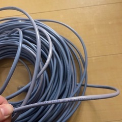 LANケーブル 30Mの画像