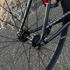 Avastaピストバイクの画像