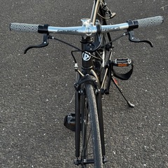Avastaピストバイクの画像