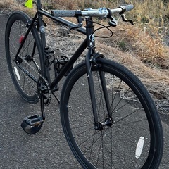 Avastaピストバイクの画像