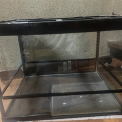 爬虫類水槽