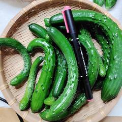 【農家直売】✨！新鮮！✨　《訳あり》きゅうり　約5kgの画像