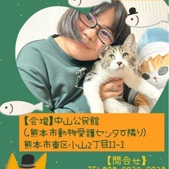 🐈‍⬛ふれあい🩷保護猫譲渡会🐈‍⬛💛🧡💚