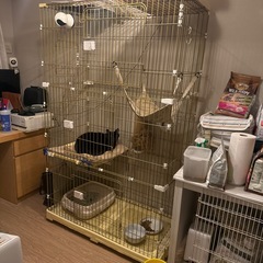 猫ケージの中古が安い！激安で譲ります・無料であげます｜ジモティー