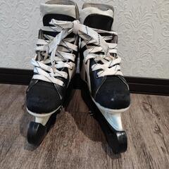 ２１センチアイスホッケー