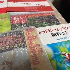 ビーシュリンプ育成本7冊の画像