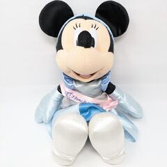 東京ディズニーリゾート ビビディバビディブティック ミニー シン...