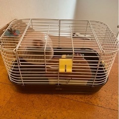 ハムスターハウス