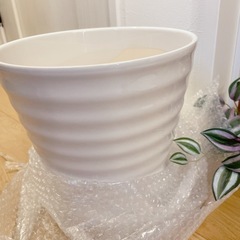 ※決定※【美品】陶器　植木鉢♡植物/ガーデニングお好きな方に是非♡🪴