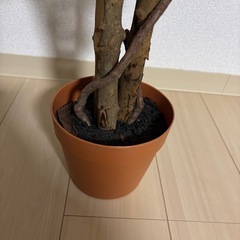 人口観葉植物　150cmの画像