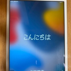 iPad mini、ジャンクの画像