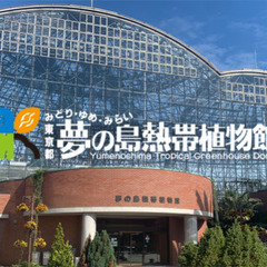 あったか～い夢の島熱帯植物館で熱帯植物鑑賞を楽しもう！